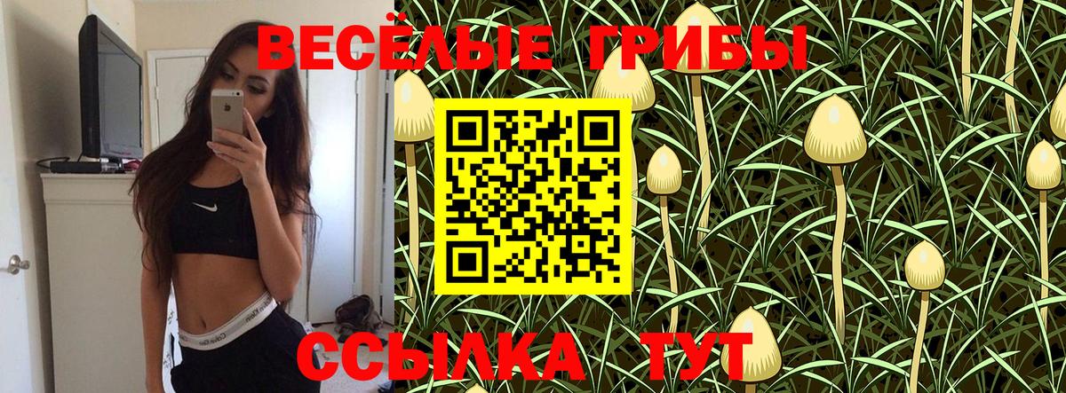 Галлюциногенные грибы MAGIC MUSHROOMS Подольск