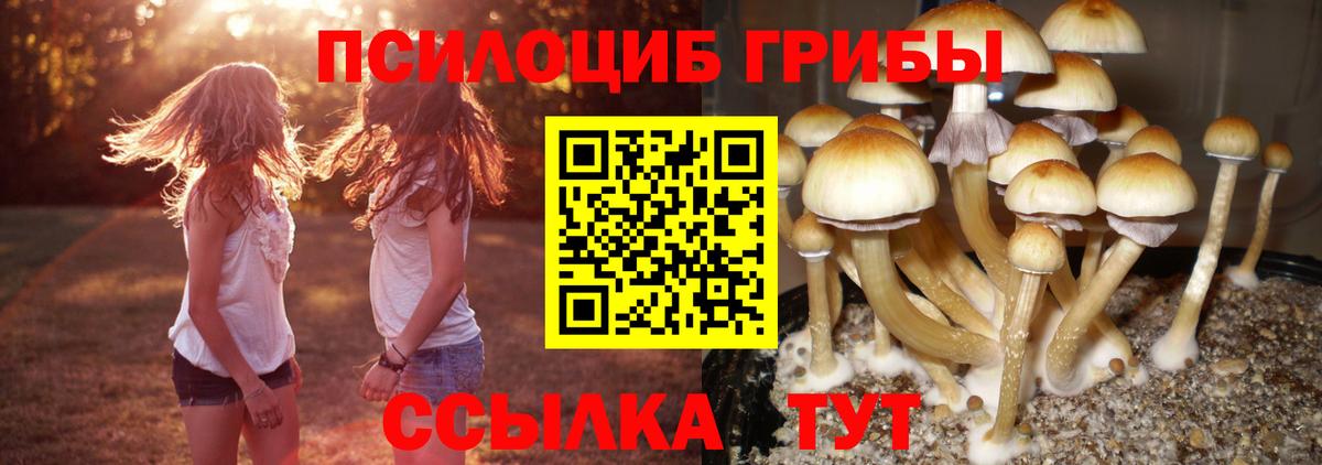 Галлюциногенные грибы Magic Shrooms  Галлюциногенные грибы прущие грибы  Вход с VPN  Подольск 